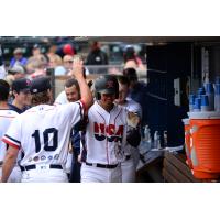 Jose Lobaton of the Tacoma Rainiers receives congratulations in the dugout
