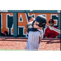 Corvallis Knights outfielder Briley Knight
