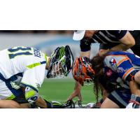 Chesapeake Bayhawks face off with the Dallas Rattlers
