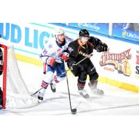 Cleveland Monsters vs. the Rochester Americans