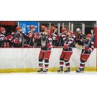 Port Huron Prowlers exchange high fives with the bench