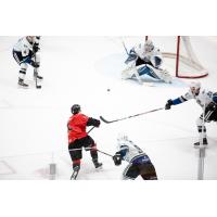 Prince George Cougars take a shot against the Victoria Royals