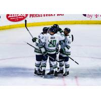 Florida Everblades celebrate a goal against the Utah Grizzlies