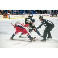 Tulsa Oilers face off with the Allen Americans