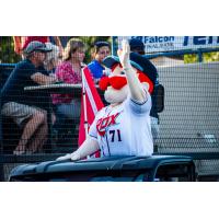 St. Cloud Rox mascot Chisel waves to the crowd