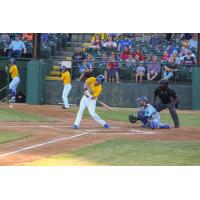 Mike Hart takes a swing for the Sioux Falls Canaries