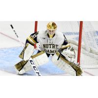 Cale Morris in goal for Notre Dame