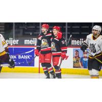 Grand Rapids Griffins vs. the Chicago Wolves
