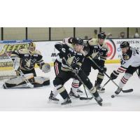 Wheeling Nailers defend against the Indy Fuel