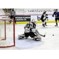 Vancouver Giants goaltender Drew Sim minds the crease against the Victoria Royals