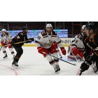 Grand Rapids Griffins center Dominic Turgeon vs. the Cleveland Monsters