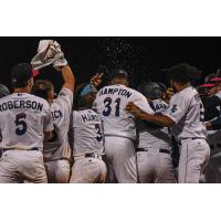 Pensacola Blue Wahoos celebrate catcher Nick Fortes' game-winning home run