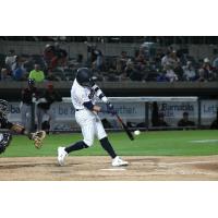 Oswaldo Cabrera makes contact for the Somerset Patriots