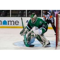 Texas Stars goaltender Colton Point