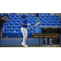 Dunedin Blue Jays infielder Orelvis Martinez