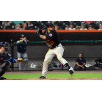 L.J. Mazzilli of the Long Island Ducks