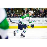 Maine Mariners forward Greg Chase