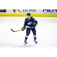 Maine Mariners forward Greg Chase