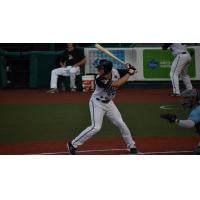 Ian Walters of the Southern Illinois Miners at bat