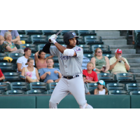 Dermis Garcia at bat for the Somerset Patriots