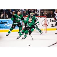 Texas Stars Sign forward Nick Caamano