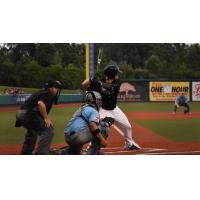 Jared Mang at bat for the Southern Illinois Miners