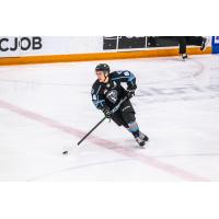 Winnipeg ICE forward Connor McClennon