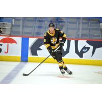 Forward Justin Brazeau with the Providence Bruins