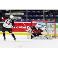 Kelowna Rockets goaltender Talyn Boyko makes a glove save on a shot from the Prince George Cougars