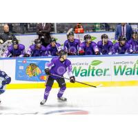 Rockford IceHogs in their Hockey Fights Cancer jerseys