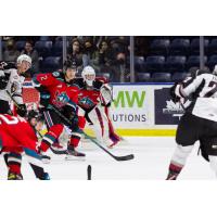 Kelowna Rockets defend against the Vancouver Giants