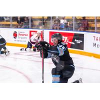 Winnipeg ICE forward Matthew Savoie