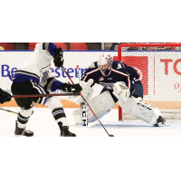 Victoria Royals face the Tri-City Americans goaltender