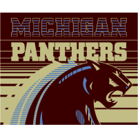 Original Michigan Panthers logo