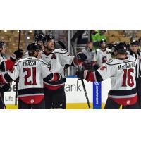 Adirondack Thunder react after a goal against the Worcester Railers