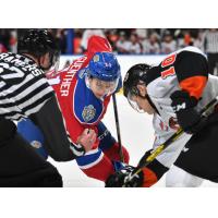 Medicine Hat Tigers face off with the Edmonton Oil Kings