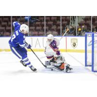 Reading Royals goaltender Pat Nagle stuffs a shot from the Newfoundland Growlers
