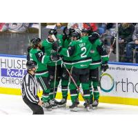 Texas Stars celebrate after a goal against the Rockford IceHogs