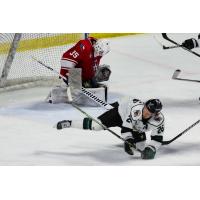 Allen Americans goaltender Hayden Lavigne vs. the Utah Grizzlies