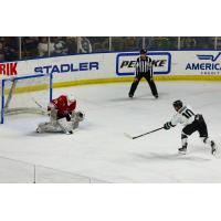 Allen Americans goaltender Hayden Lavigne faces Matthew Boucher of the Utah Grizzlies