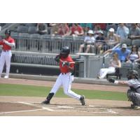 Fayetteville Woodpeckers at the plate