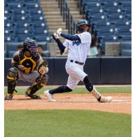 Tampa Tarpons swing for the fences
