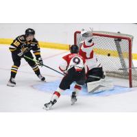 Wheeling Nailers forward Jarrett Lee scores against the Cincinnati Cyclones