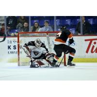 Vancouver Giants' Brett Mirwald versus Medicine Hat Tigers' Brayden Boehm