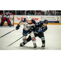 Tri-City Americans' Parker Bel battles Wenatchee Wild's Kenta Isogai