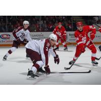 Peterborough Petes defencemen Cam Gauvreau (center) and Samuel Mayer vs. the Soo Greyhounds