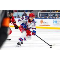 Kitchener Rangers' Matthew Sop in action