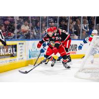 Grand Rapids Griffins' Brogan Rafferty and Tim Gettinger in action