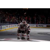 Rockford IceHogs celebrate a goal