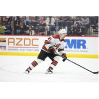 Tucson Roadrunners forward Milos Keleman